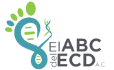 El ABC del ECD